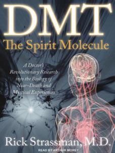 Dmt-The-Spirit-Molecule-Strassman-Rick-9781452601458